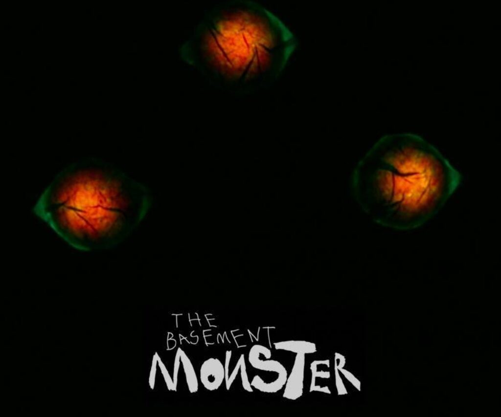 The Basement Monster